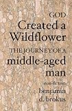 Seasons of Life: the Journey of a Middle-Aged Man