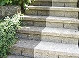 FLAGSTONE/ GRAVESTONE CLEANER/ 500ML/ STONE AND DECKING CLEANER - Removes years or dirt, grime, algae and moss form stone, brickwork, masonry, garden ornaments, furniture and decking.