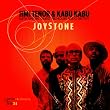 Joystone