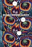 The stray bullet : William S. Burroughs in Mexico