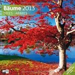 B�ume 2013