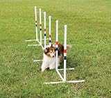 Essential Pet PDT00-11032 Weave Poles