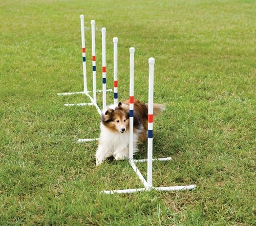 Essential Pet PDT00-11032 Weave Poles