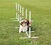 Essential Pet PDT00-11032 Weave Poles
