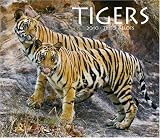 Tigers 2010 Deluxe Wall
