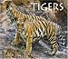 Tigers 2010 Deluxe