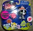 Littlest Pet Shop - SPECIAL EDITION PET #978 - Boston Terrier