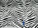 Fabric Premier Upholster/Drapery Zebra FL112