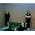 Vignette de Placebo