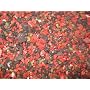 Encens Saint Beno�t - Sachet de 100 Grs. 