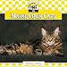 Search : Maine Coon Cats