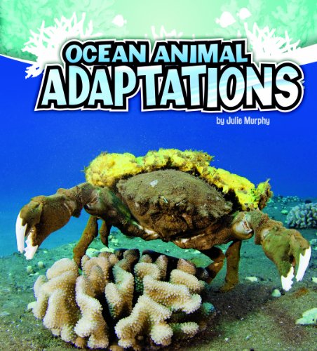 Ocean Animal Adaptations (Amazing Animal Adaptations)