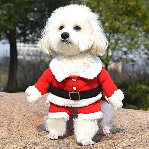 Rocpet Pet Christmas Santa Claus Suit Costume for Small Boy Dogs &amp; Male Cats Jumpsuit Winter Coat Warm Clothes (S)