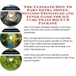 The Fantastic Make An Extra Income, Marketing and Inner Game for Ice Cube Trays On-line Businesses 3 CD Course book cover