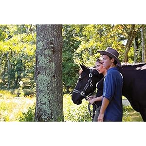 Equitation : Black Beauty + Whisper - Libres comme le vent + Shadow & moi