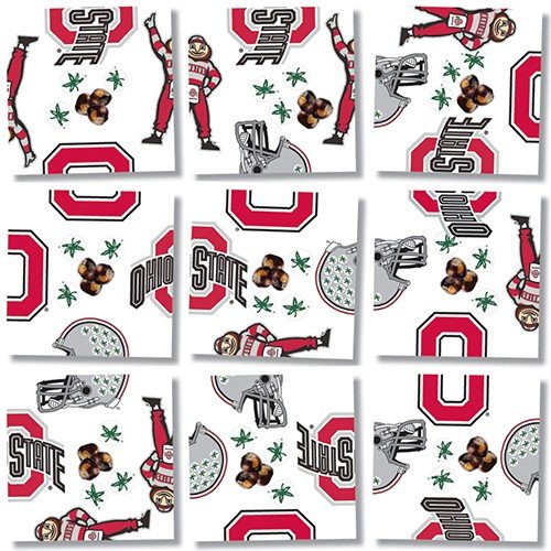 b. dazzle Ohio State University Buckeyes Scramble Squares Puzzle