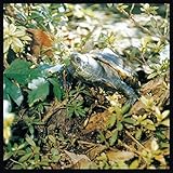 亀盤 (SHMCD) (あぶらだこ)