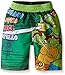 Teenage Mutant Ninja Turtles Boys' Nickelodeon Swim Trunk