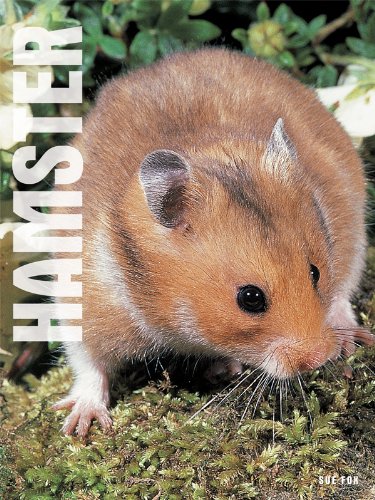 Hamsters