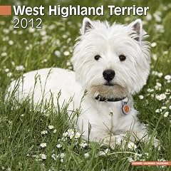 Kalender 2012 Westie - West Highland White Terrier