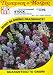 Thompson & Morgan 6511 Stock Mixed Colors 'Ten Weeks Dwarf' Seed Packet