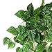 Leegoal(TM) Atificial Hanging Vine Plant Leaves Garland Home Garden Wall Decoration, Green