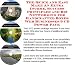 Search : The Quick and Easy Make An Extra Income, Success Principles and Biz Networking for Handcrafted Boxes Web Businesses 3 CD Power Pack
