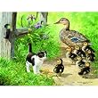 Duck Inspector 500pc Jigsaw Puzzle by Persis Clayton Weirs