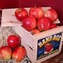 Gala Apple Crate