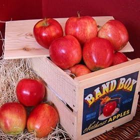 Gala Apple Crate