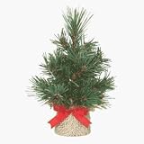 Do it Best Imports BSE-T-19 Artificial Mini Pine Tree