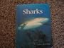 Sharks (Animal Ways)