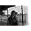 Thumbnail image of Ladyhawke