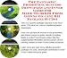 The Fantastic Promotion, Success Principles and Inner Game for Made-to-order Prom Gowns On-line Biz Package (3 CDs)