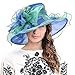 Womens Church Dress Derby Wedding Floral Tea Party Hat Ss-035