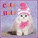 Cats in Hats 2017 Mini Calendar