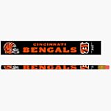 Cincinnati Bengals Pencil with Eraser 12 Pack