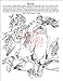 A Day at the Zoo Coloring Book