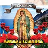 Indira Montes Ma&Atilde;&plusmn;anitas A La Guadalupana