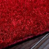 Taz Red Shag Rug Size: 5' x 8'