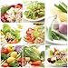 Salad - 36"H x 36"W - Peel and Stick Wall Decal by Wallmonkeys