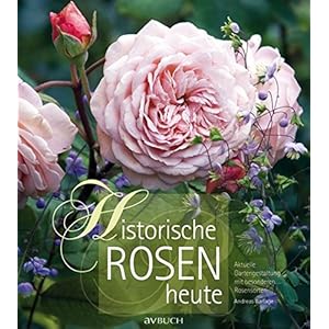 Historische Rosen heute: Aktuelle Gartengestaltung mit besonderen Rosensorten