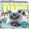 How to Take over Teh Wurld (Paperback)