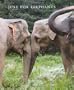 Just for Elephants