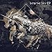 Into the Sky EP(񐶎Y)