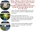 Book The Guru's How To Earn Extra Money, Marketing and Success Principles for Kayaks Businesses 3 CD Combo Pack