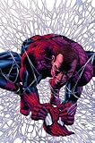 DARK AVENGERS #11