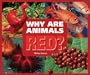 Why Are Animals Red? (Rainbow of Animals)