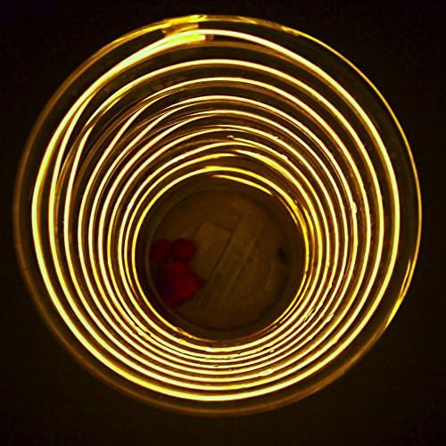 OBRINA 15ft Yellow Neon Glowing Strobing Electroluminescent EL Wire Light with Battery Box Controller for Parties, Halloween, Automotive Decoration