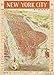 Cavallini & Co. New York City Map Decorative Decoupage Poster Wrapping Paper Sheet